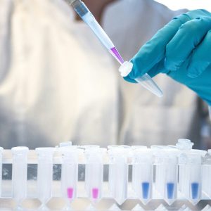 Sachverständigen&shy;gutachten kompakt